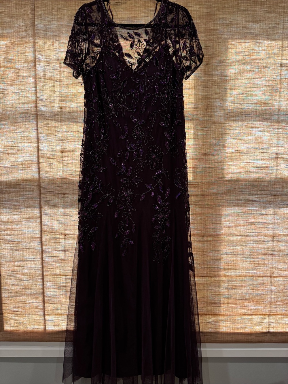 Adrianna Papell Beaded Plum Maxi Dress